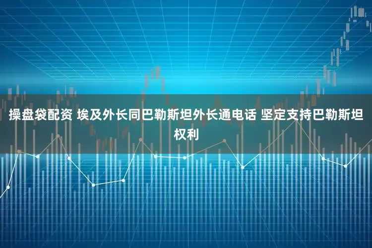 操盘袋配资 埃及外长同巴勒斯坦外长通电话 坚定支持巴勒斯坦权利
