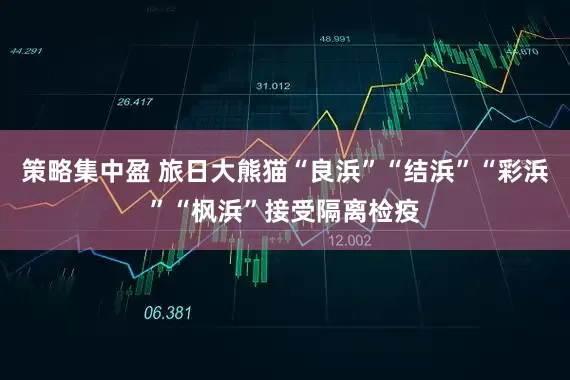 策略集中盈 旅日大熊猫“良浜”“结浜”“彩浜”“枫浜”接受隔离检疫