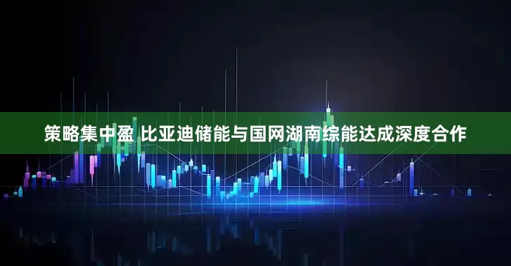 策略集中盈 比亚迪储能与国网湖南综能达成深度合作
