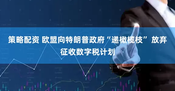策略配资 欧盟向特朗普政府“递橄榄枝” 放弃征收数字税计划