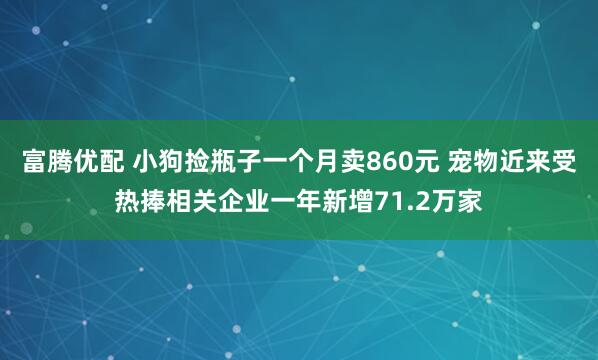富腾优配 小狗捡瓶子一个月卖860元 宠物近来受热捧相关企业一年新增71.2万家