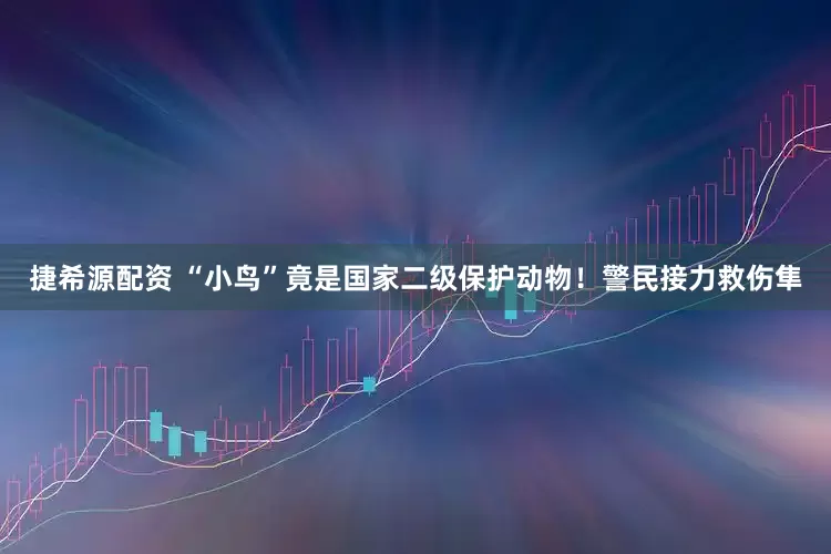 捷希源配资 “小鸟”竟是国家二级保护动物！警民接力救伤隼