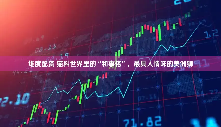 维度配资 猫科世界里的“和事佬”，最具人情味的美洲狮