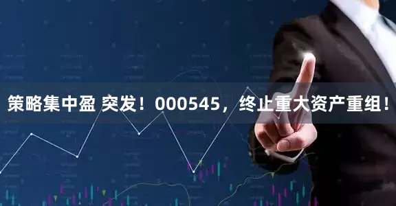 策略集中盈 突发！000545，终止重大资产重组！