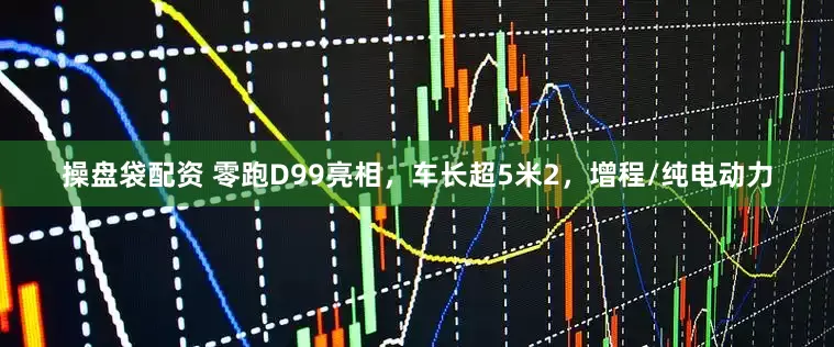 操盘袋配资 零跑D99亮相，车长超5米2，增程/纯电动力