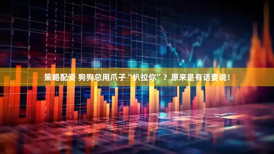 策略配资 狗狗总用爪子“扒拉你”？原来是有话要说！